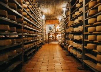 Marketi Coop i Migros ispraznili police: Salmonela u švajcarskim sirevima