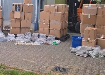 Zaplenjeno 86 hiljada džointa i 120 kg hašiša: Holandija je glavni izvor za Evropu