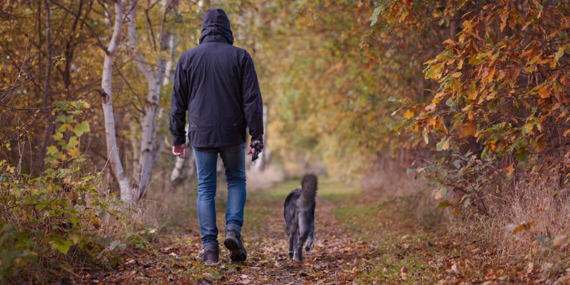Šetnja koja je mogla biti kobna: Pas otkrio staru bombu u Nemačkoj