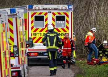 Tragedija u Nemačkoj: Drvo palo i usmrtilo majku, bebu i devojčicu