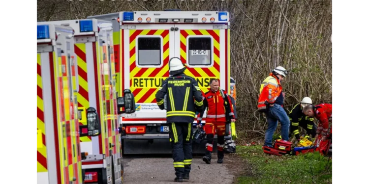 Tragedija u Nemačkoj: Drvo palo i usmrtilo majku, bebu i devojčicu