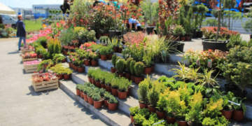 Kragujevac u bojama proleća: Sajam hortikulture okuplja preko 100 izlagača