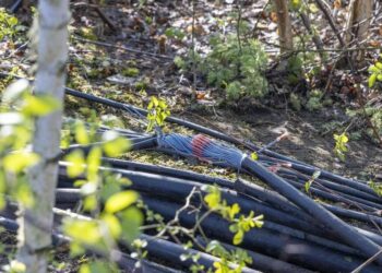 Napad na železnicu: Cela oblast u Nemačkoj blokirana zbog presečenih kablova