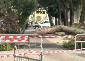 Palo drvo u sred grada u Italiji: Usmrtilo 12-godišnju devojčicu
