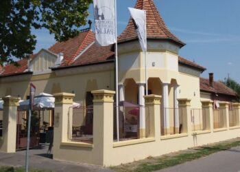 Dečji svet odrastanja kroz filmska platna stiže na Palićko jezero