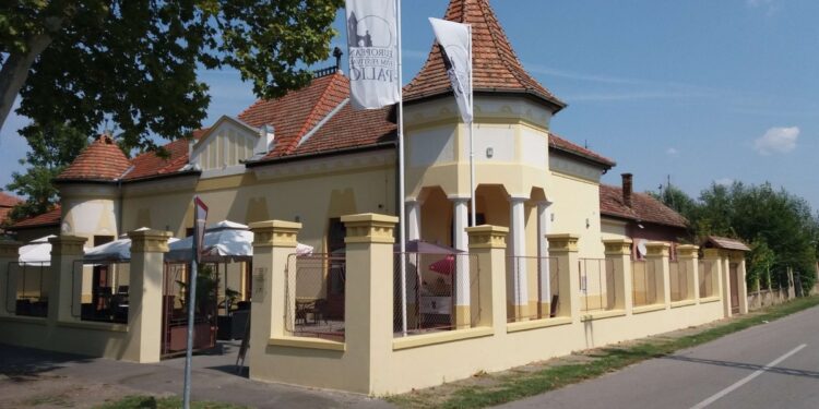 Dečji svet odrastanja kroz filmska platna stiže na Palićko jezero