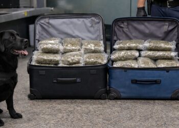 Bečki pas nanjušio 43 kg droge u koferu mladog Bugarina