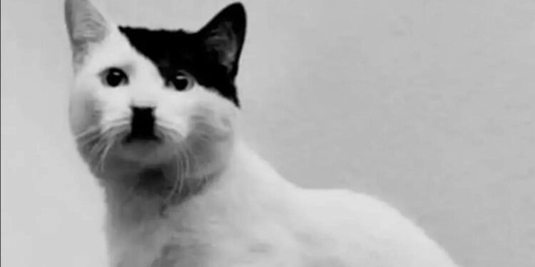 Sud u Rusiji ne razume šalu