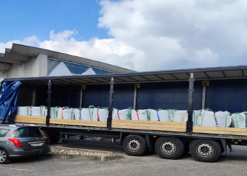 Zbog Francuza će uvenuti lale: 1,1 tona kokaina u zemlji za cveće