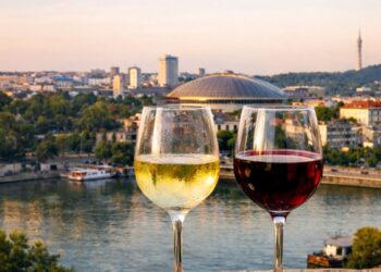 Od autohtonih sorti do svetskih vina u Ložionici