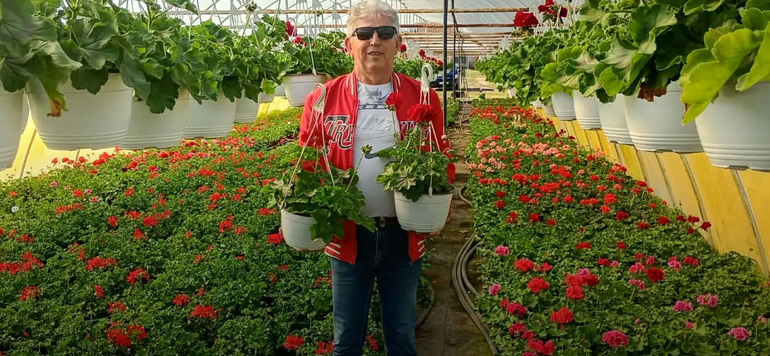 U selu kod Kanjiže, Tivadar Dukai od muškatli napravio posao, ime i mali vojvođanski brend