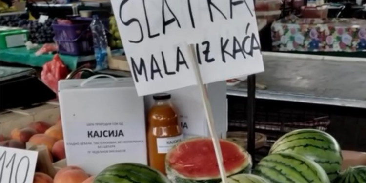 Jedina na Balkanu: Iz Kaća stiže 1.300 tona „slatke male“