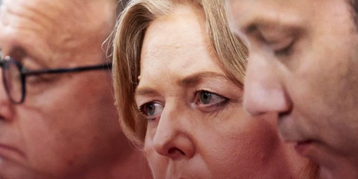 NEMAČKA: Demokratija je diktatura, a patriotska stranka AfD je neprijatelj broj 1!“