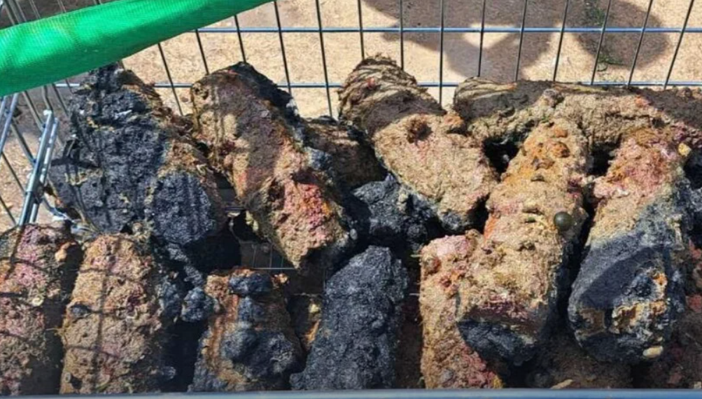 Nasleđe rata u Jadranu: Kod Pule izvađene bombe iz Drugog svetskog rata
