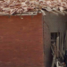Srbija pamti: 59. dan bombardovanja 1999. godine – Raketiran zatvorski kompleks Dubrava