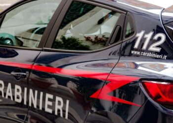Senegalac ubio Italijana usred Đenove – Vukao vezani leš po ulici