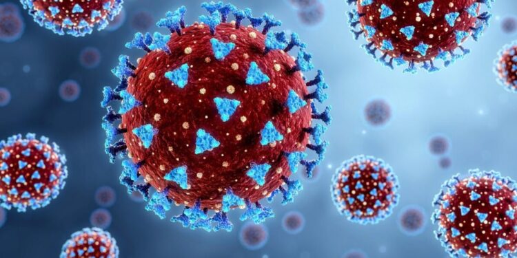 Batut upozorava javnost na hantavirus: 127 slučajeva u Srbiji za deset godina