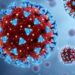 Batut upozorava javnost na hantavirus: 127 slučajeva u Srbiji za deset godina