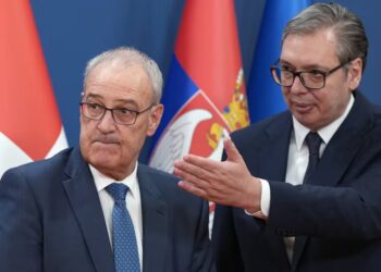„Švajcarski Srbi su naše blago“: Predsednik Vučić otkrio plan za povratak dijaspore