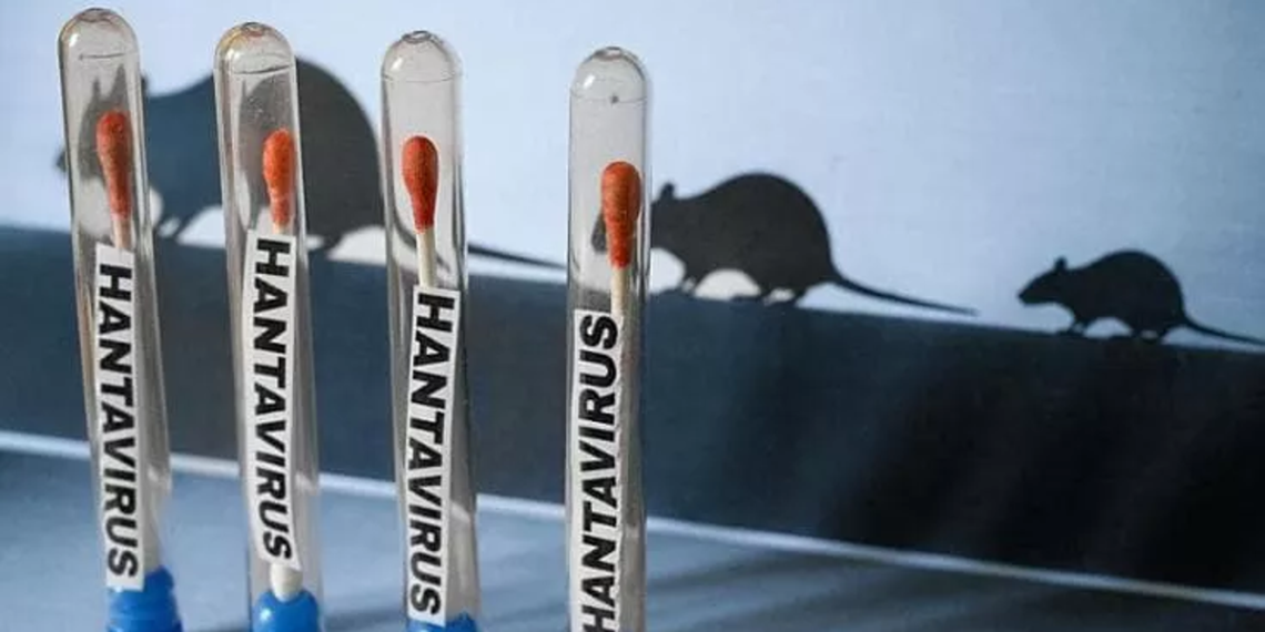 Svet u strahu nove epidemije: Hantavirus potvrđen u više zemalja – oglasila se i SZO
