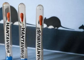 Svet u strahu nove epidemije: Hantavirus potvrđen u više zemalja – oglasila se i SZO
