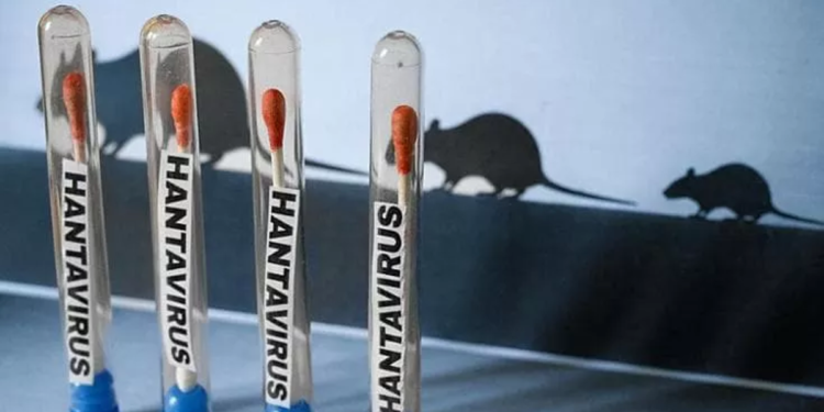 Svet u strahu nove epidemije: Hantavirus potvrđen u više zemalja – oglasila se i SZO