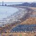 Italijansko letovalište uvodi stroga pravila: Plaže bez dima i pasa