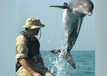 Delfini kamikaze: Od tajnih eksperimenata do Ormuškog moreuza