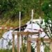 Tragedija u Francuskoj: Najmanje 11 osoba poginulo u padu aviona
