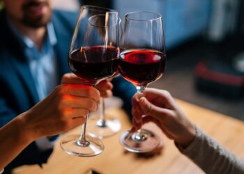 Domaća vina osvajaju Bavarsku: Serbian Wine Fest okupio diplomate