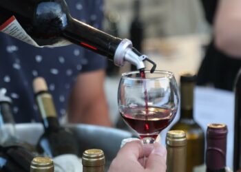 Više od 100 vinarija na jednom mestu: Počeo „Interfest“ u Novom Sadu