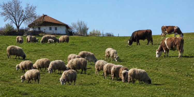 Stočari, proverite vaše eSanduče: Počela isplata za priplodna grla