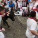 Španija: Bik rogom ubo muškarca u lice, 14 povređenih tokom festivala