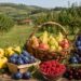 Malo koja zemlja može ovim da se pohvali: Srbija danas slavi svoje najslađe bogatstvo