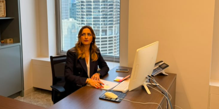 Tatjana Telić – Diplomatska misija u srcu Amerike