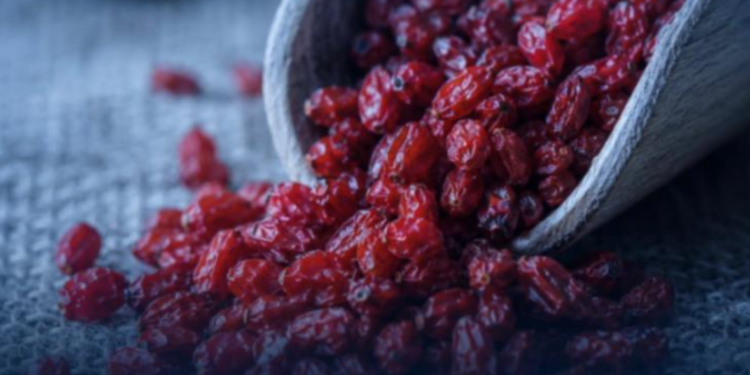 „Prirodni Ozempik“ ili marketinški trik: Šta šumski plodovi zaista mogu da urade