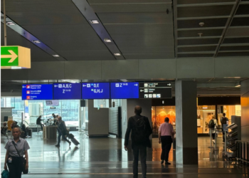 Četiri slučaja malarije na aerodromu u Frankfurtu: Zaraženi komarac stigao avionom?