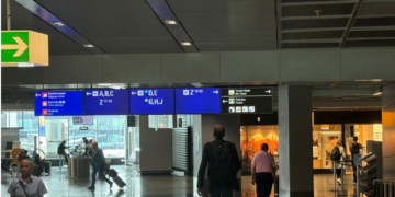 Četiri slučaja malarije na aerodromu u Frankfurtu: Zaraženi komarac stigao avionom?