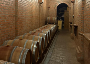 Ogromna šansa za domaće vinarije: Kinezi traže srpsko vino