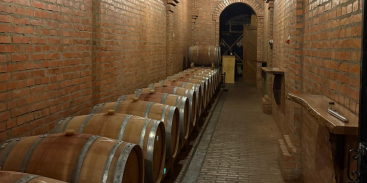 Ogromna šansa za domaće vinarije: Kinezi traže srpsko vino