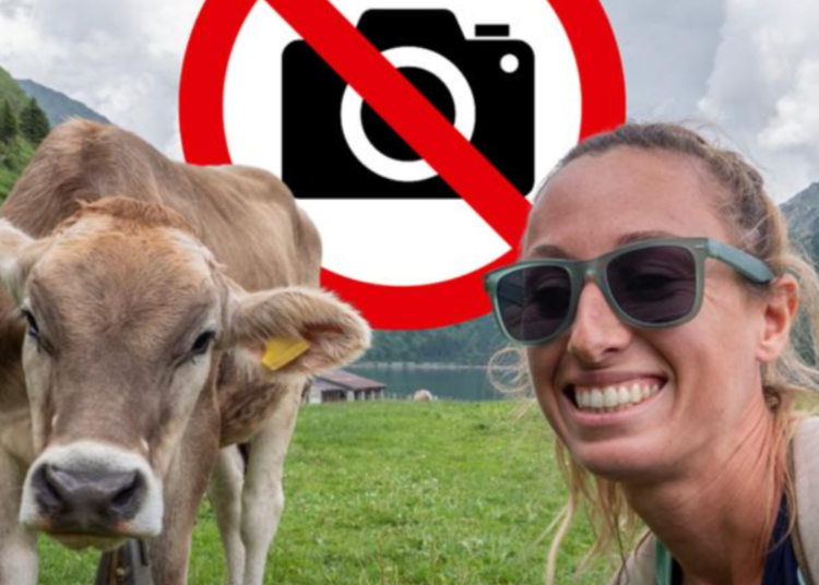 Selfi sa kravom može skupo da košta: U Austriji već 13 nesreća na pašnjacima