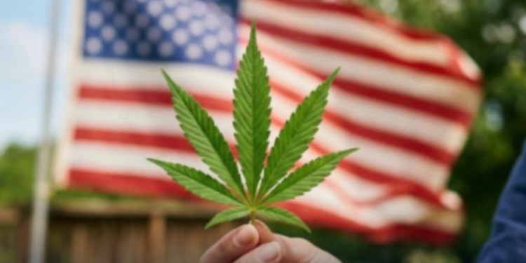 Istorijski zaokret u Americi: Medicinski kanabis skinut sa liste najstrože kontrolisanih droga