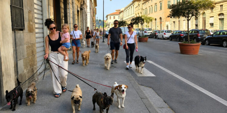 Zašto Italija ima sve manje dece, a sve više kućnih ljubimaca?