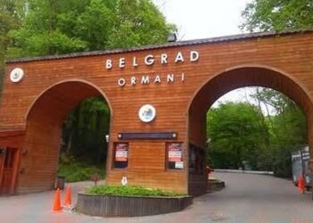 Srpski trag usred Istanbula: Beogradska šuma čuva sećanje staro pet vekova
