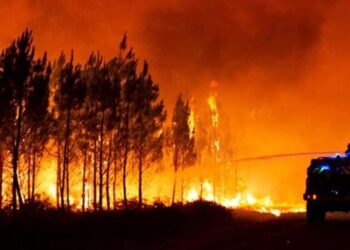 Požar na jugu Francuske: Evakuisano 200 ljudi