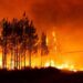 Požar na jugu Francuske: Evakuisano 200 ljudi