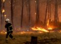 Francuska pod najvišim stepenom uzbune zbog požara: Evakuisano 220.000 ljudi