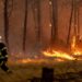 Francuska pod najvišim stepenom uzbune zbog požara: Evakuisano 220.000 ljudi