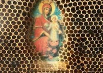 Čudo ili prirodni fenomen? Grčke pčele voskom prekrivaju ikone, ali ne i lica svetaca