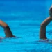 Teodora Sperlić 23. na juniorskom Svetskom prvenstvu u Budimpešti